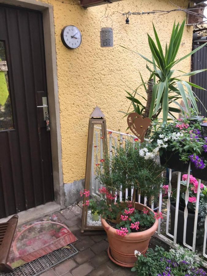 Wohnen Im Eulengarten Oranienburg Bagian luar foto