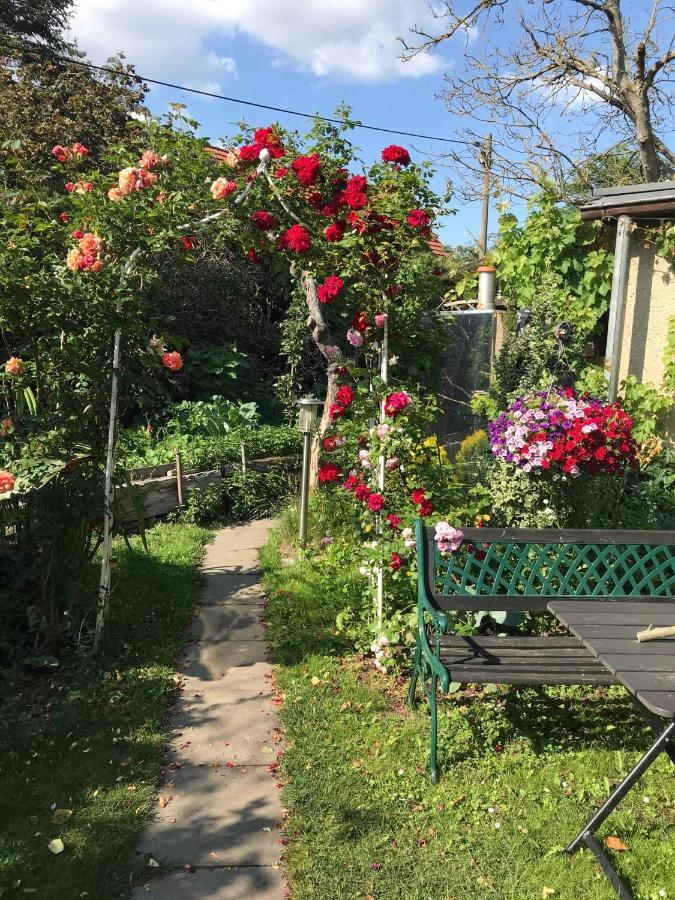 Wohnen Im Eulengarten Oranienburg Bagian luar foto
